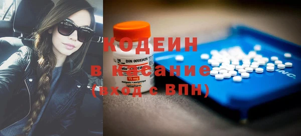 молекула духа Новозыбков