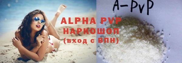 гидра Алексин