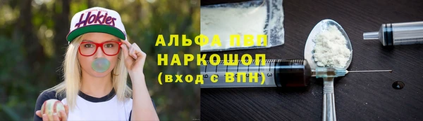 гидра Алексин