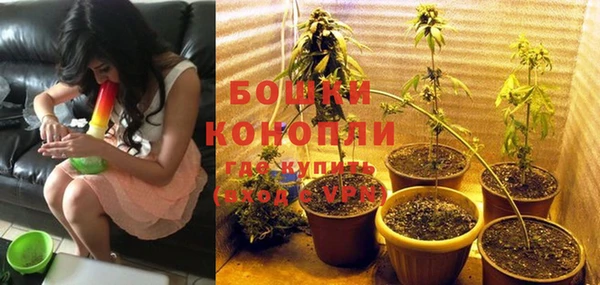 каннабис Новокубанск