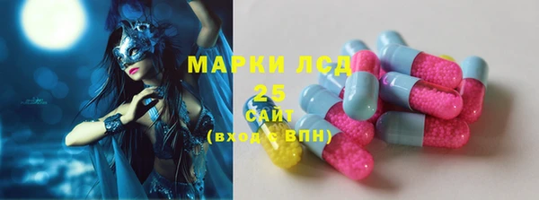 гидра Алексин