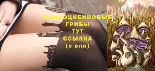 прущие крисы Алзамай